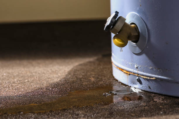 Best Flood restoration services  in Lake Isabella, CA