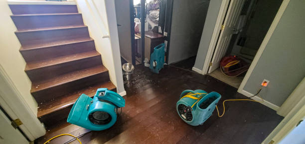 Local water damage restoration in Lake Isabella, CA