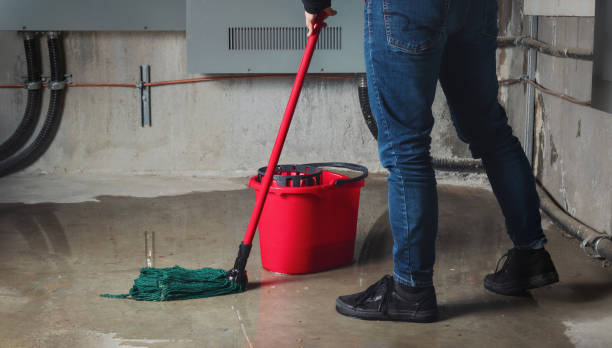 Best Mold removal after water damage  in Lake Isabella, CA