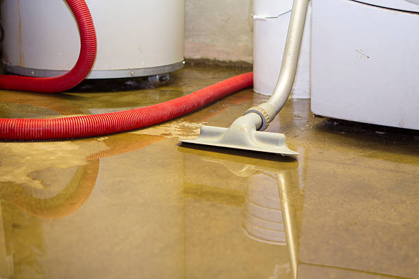 Best Fire Damage Restoration  in Lake Isabella, CA