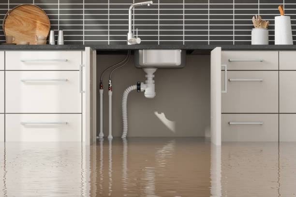 Best Water damage restoration near me  in Lake Isabella, CA